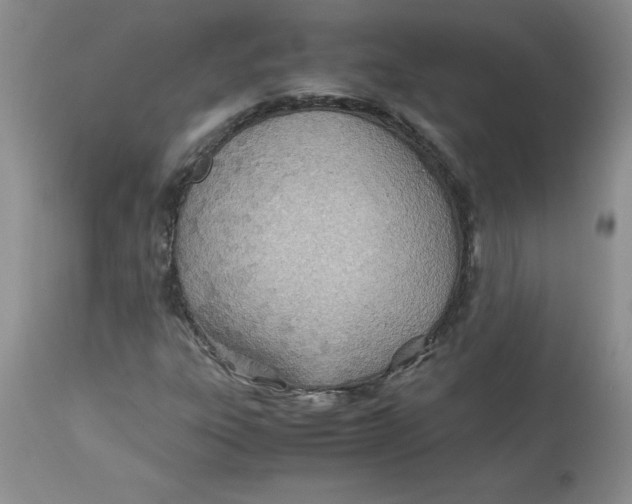 X0000114011303200910231806