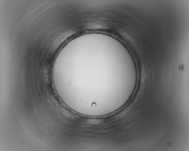 X0000114011305200910231806