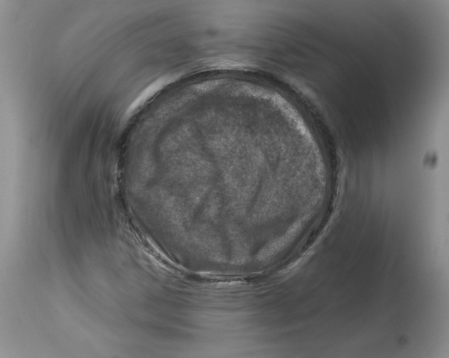 X0000114011306200910231806