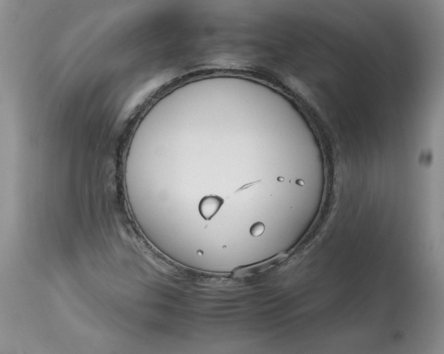 X0000114011307200910231806