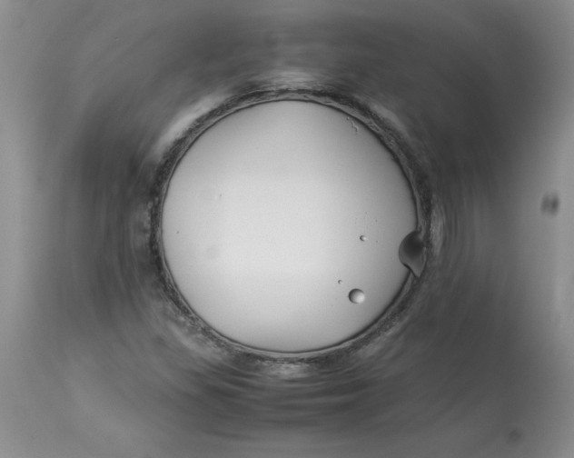 X0000114011309200910231806