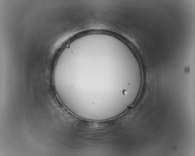 X0000114011311200910231806