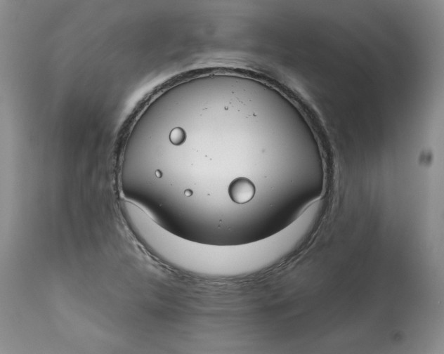 X0000114011312200910231806