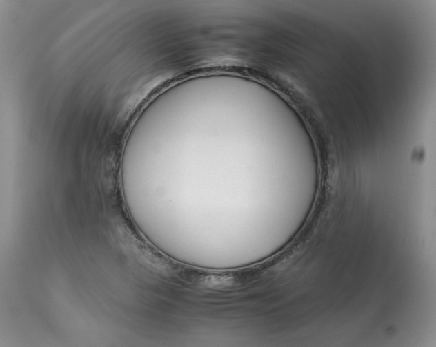 X0000114011313200910231806