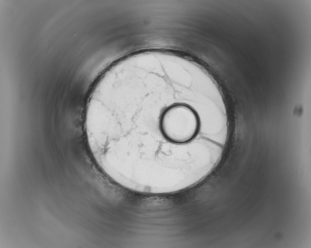 X0000114011314200910231806