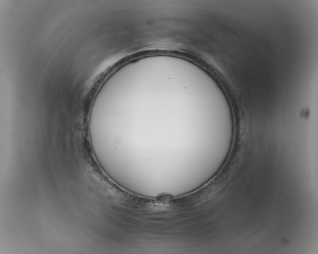 X0000114011315200910231806