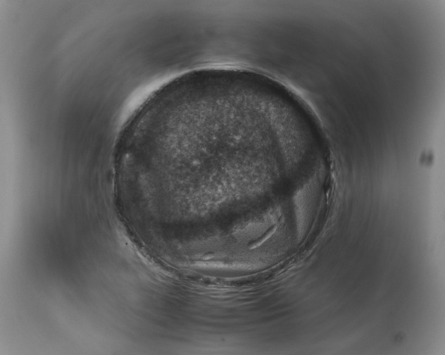 X0000114011319200910231806