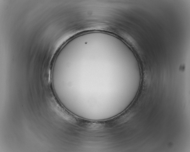 X0000114011324200910231806