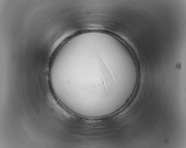 X0000114011325200910231806