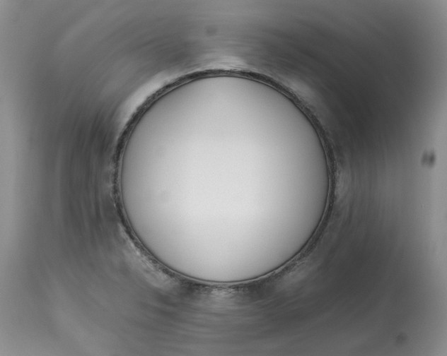 X0000114011326200910231806