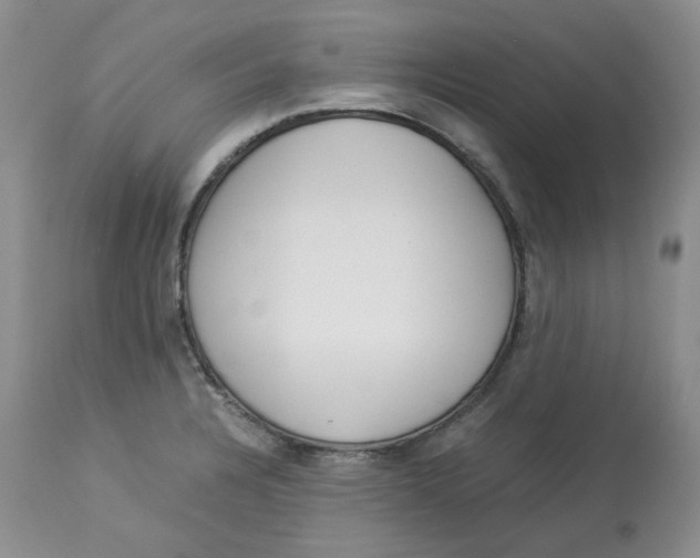 X0000114011328200910231806