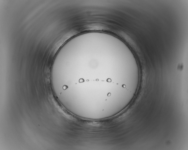 X0000114011329200910231806