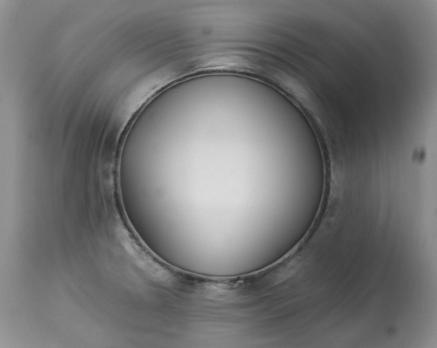 X0000114011330200910231806