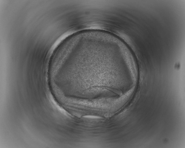 X0000114011331200910231806