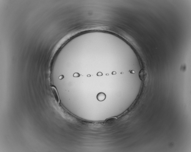 X0000114011332200910231806