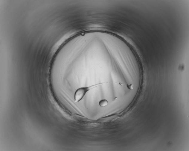 X0000114011333200910231806