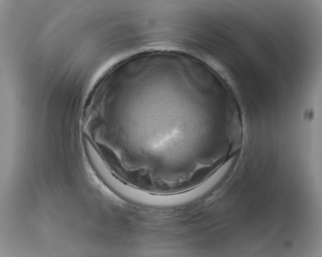 X0000114011334200910231806