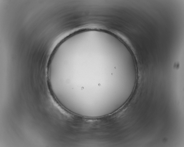 X0000114011335200910231806