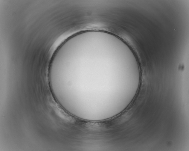 X0000114011336200910231806