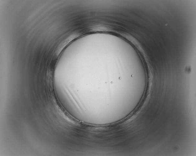 X0000114011337200910231806