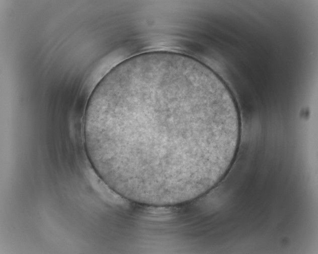 X0000114011338200910231806