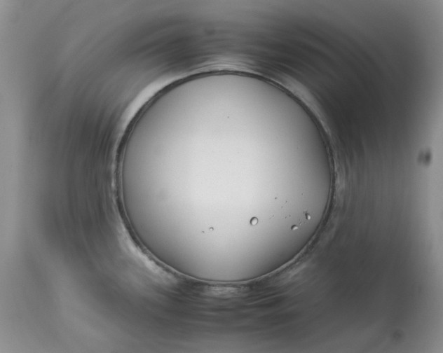 X0000114011339200910231806