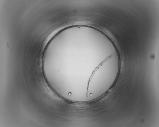 X0000114011340200910231806