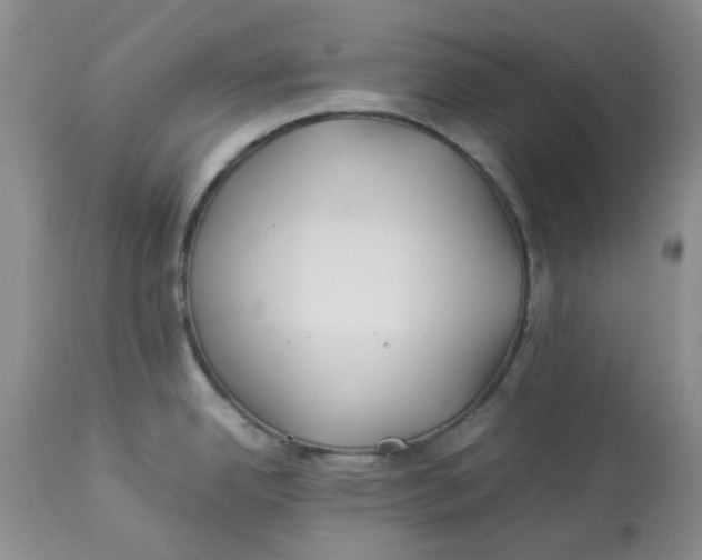 X0000114011342200910231806