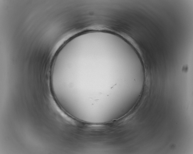 X0000114011343200910231806