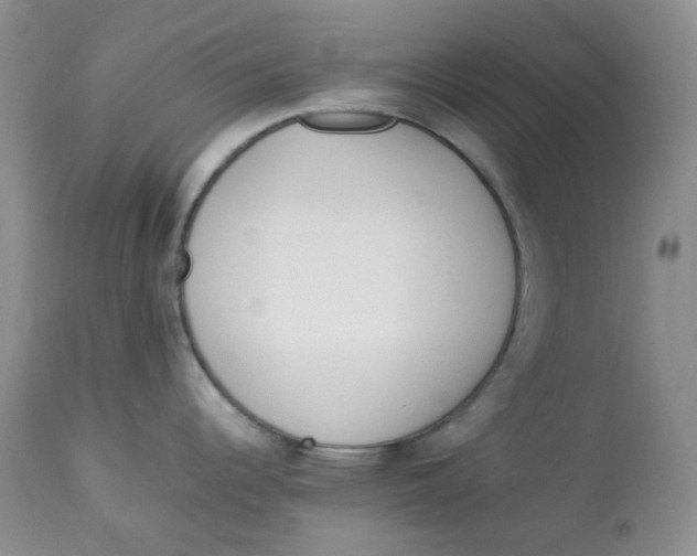 X0000114011344200910231806