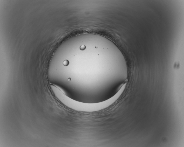 X0000114011345200910231805