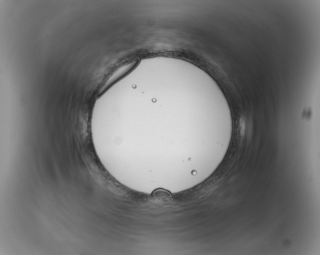 X0000114011348200910231805