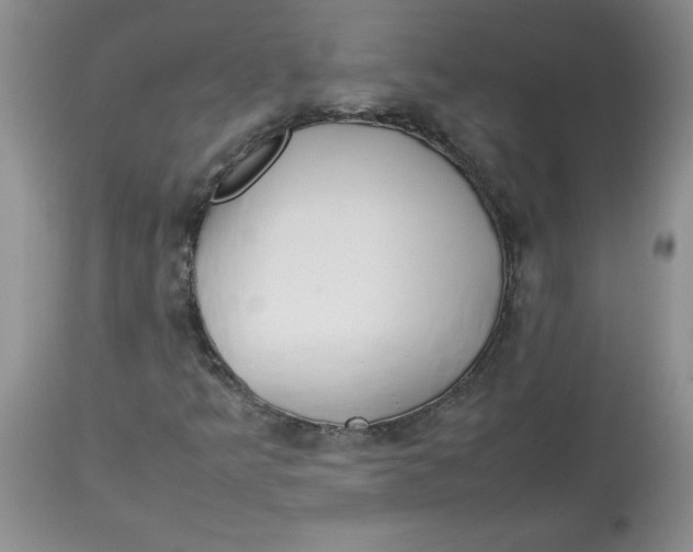 X0000114011349200910231805