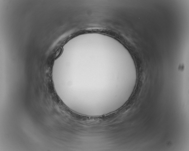 X0000114011351200910231805