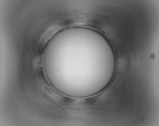 X0000114011353200910231805