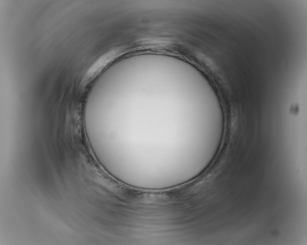 X0000114011354200910231805