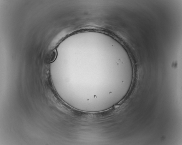 X0000114011355200910231805