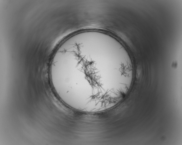 X0000114011356200910231805