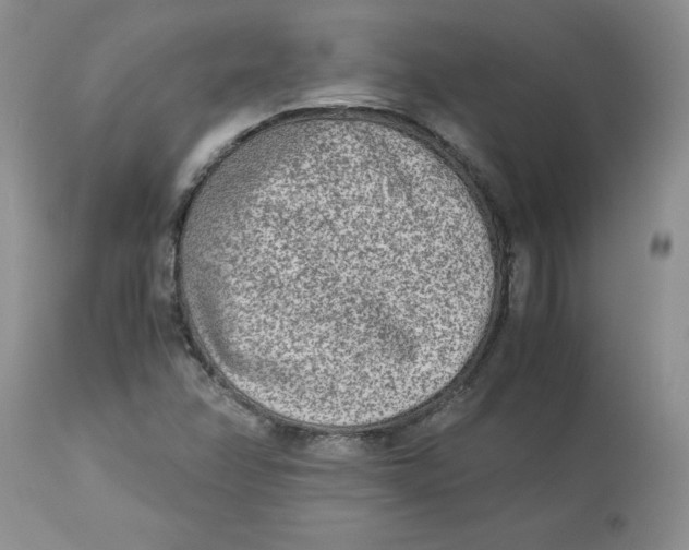 X0000114011358200910231805