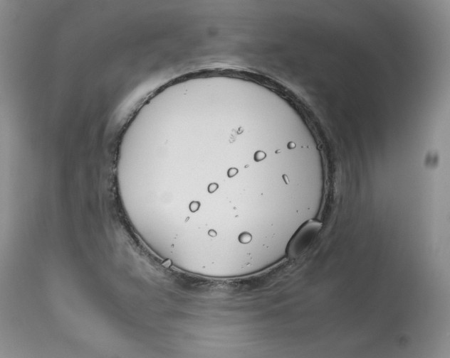 X0000114011359200910231805