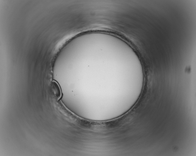 X0000114011363200910231805