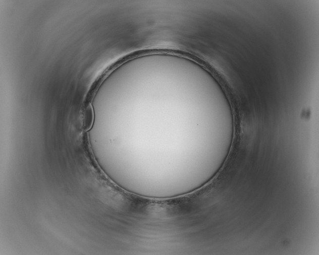 X0000114011364200910231805