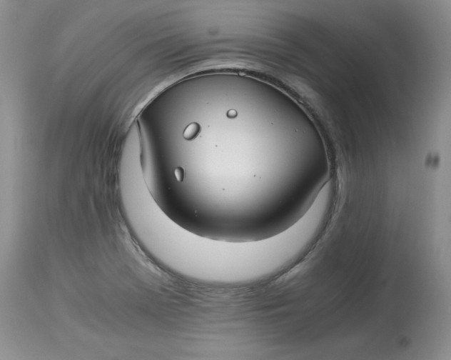 X0000114011369200910231805