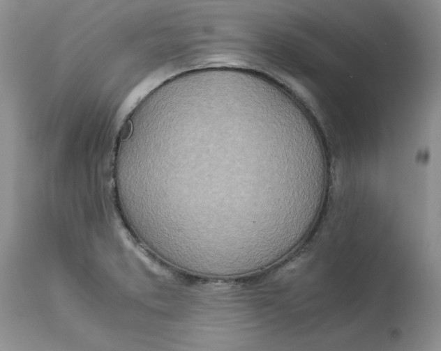 X0000114011373200910231805