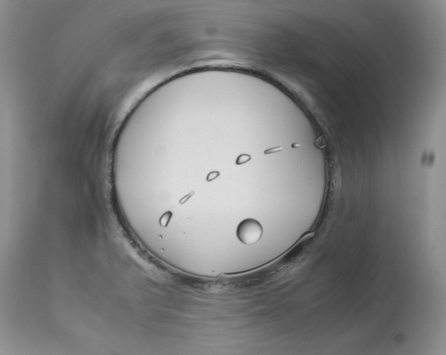 X0000114011375200910231805