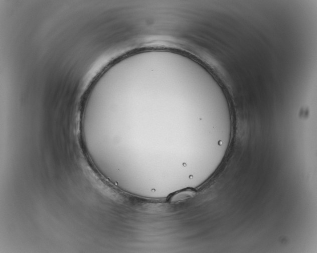 X0000114011376200910231805