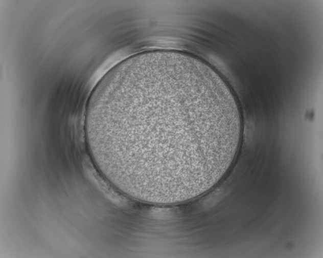 X0000114011378200910231805