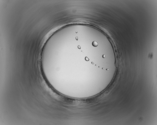 X0000114011379200910231805