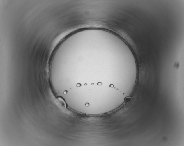 X0000114011380200910231805