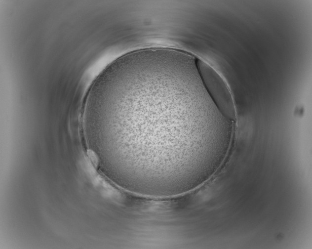 X0000114011381200910231805